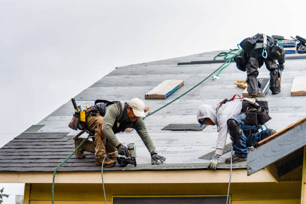 Professional Storm Damage Roof Repair technician working in Harrison, AR